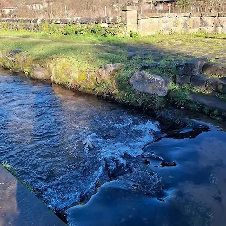 Du Bourguignon, Lorraine