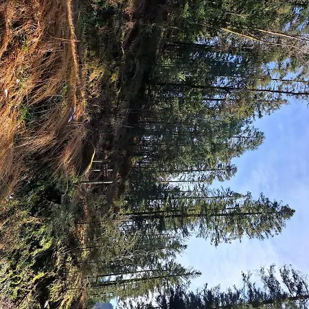 Du Bourguignon, Lorraine Saint-Quirin