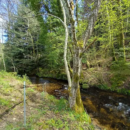 Du Bourguignon, Lorraine * Saint-Quirin