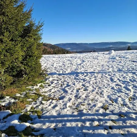 Nyaraló Du Bourguignon, Lorraine