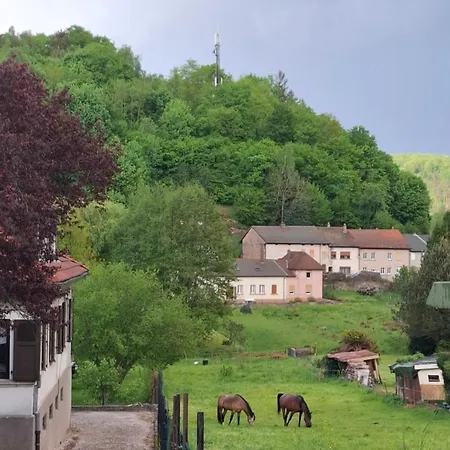 Holiday home Du Bourguignon, Lorraine Saint-Quirin