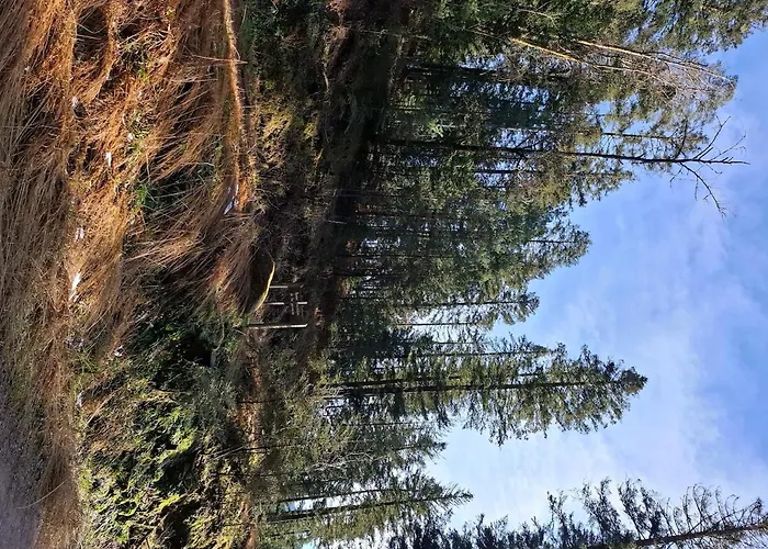 Du Bourguignon, Lorraine Saint-Quirin