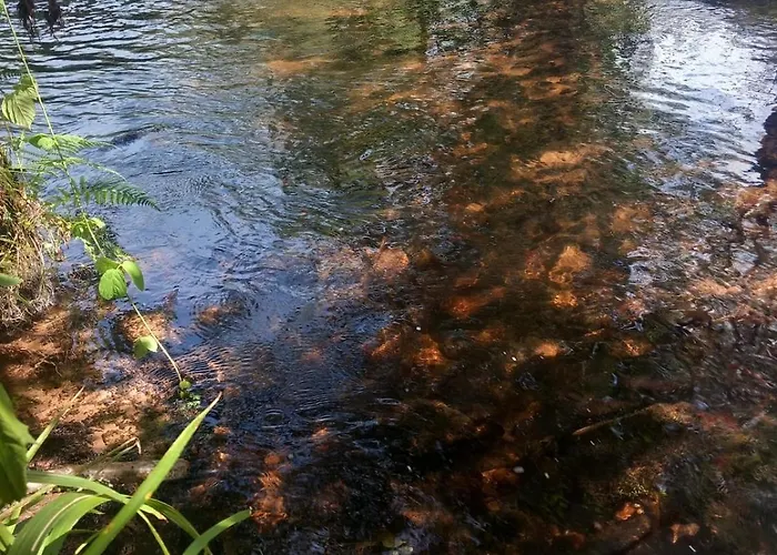 Du Bourguignon, Lorraine Prázdninový dům Saint-Quirin