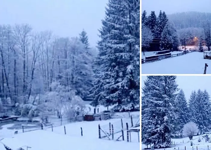 Du Bourguignon, Lorraine *