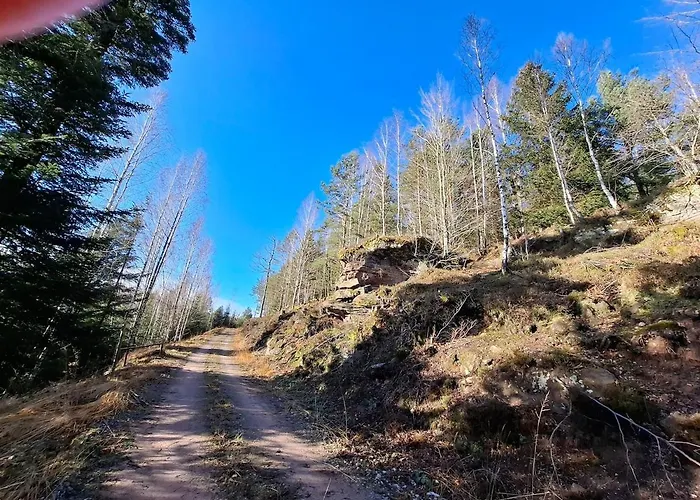Du Bourguignon, Lorraine *