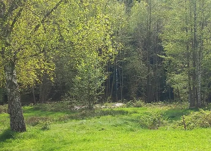 Prázdninový dům Du Bourguignon, Lorraine