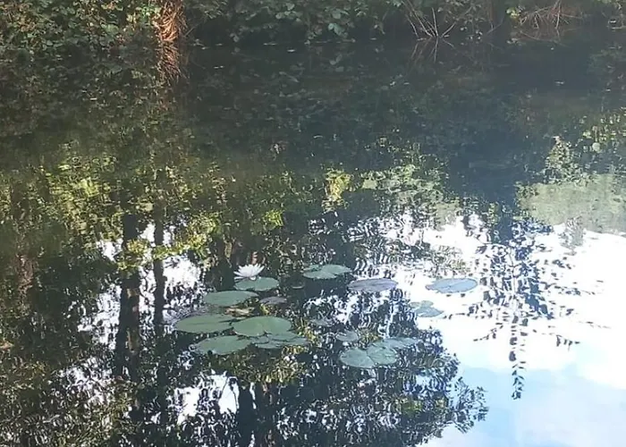 Du Bourguignon, Lorraine Prázdninový dům *