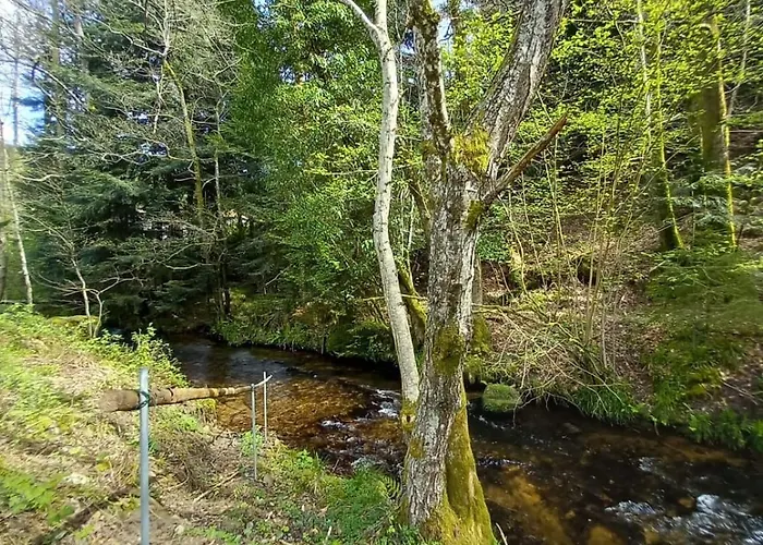 Du Bourguignon, Lorraine * Saint-Quirin