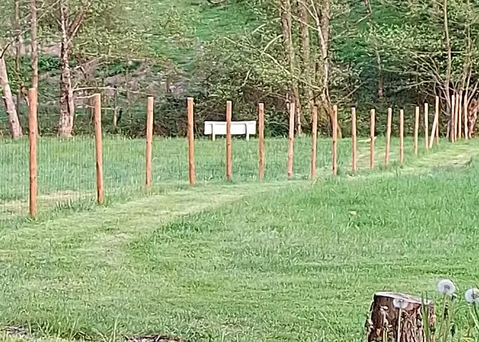 Du Bourguignon, Lorraine Saint-Quirin